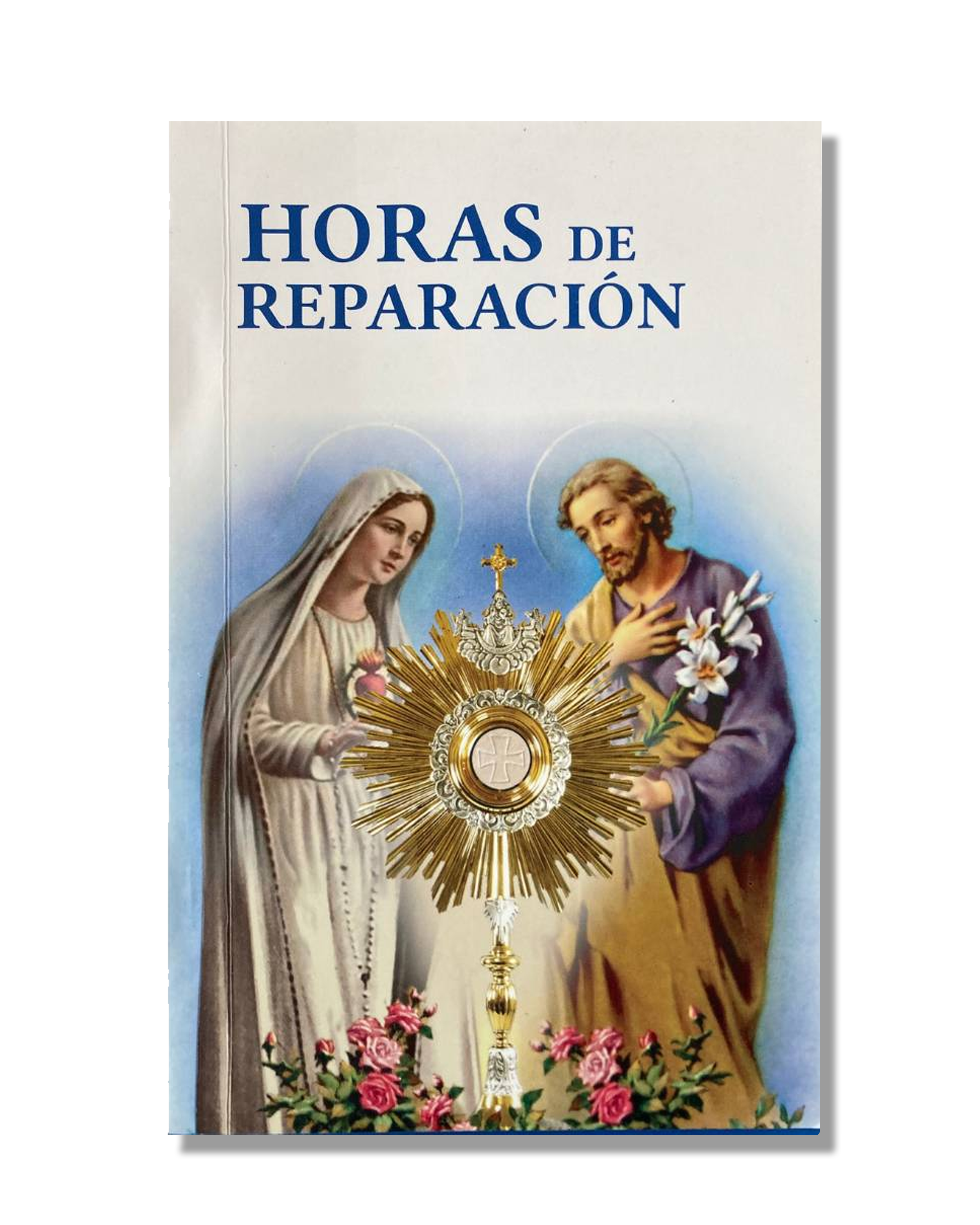 Horas De Reparación
