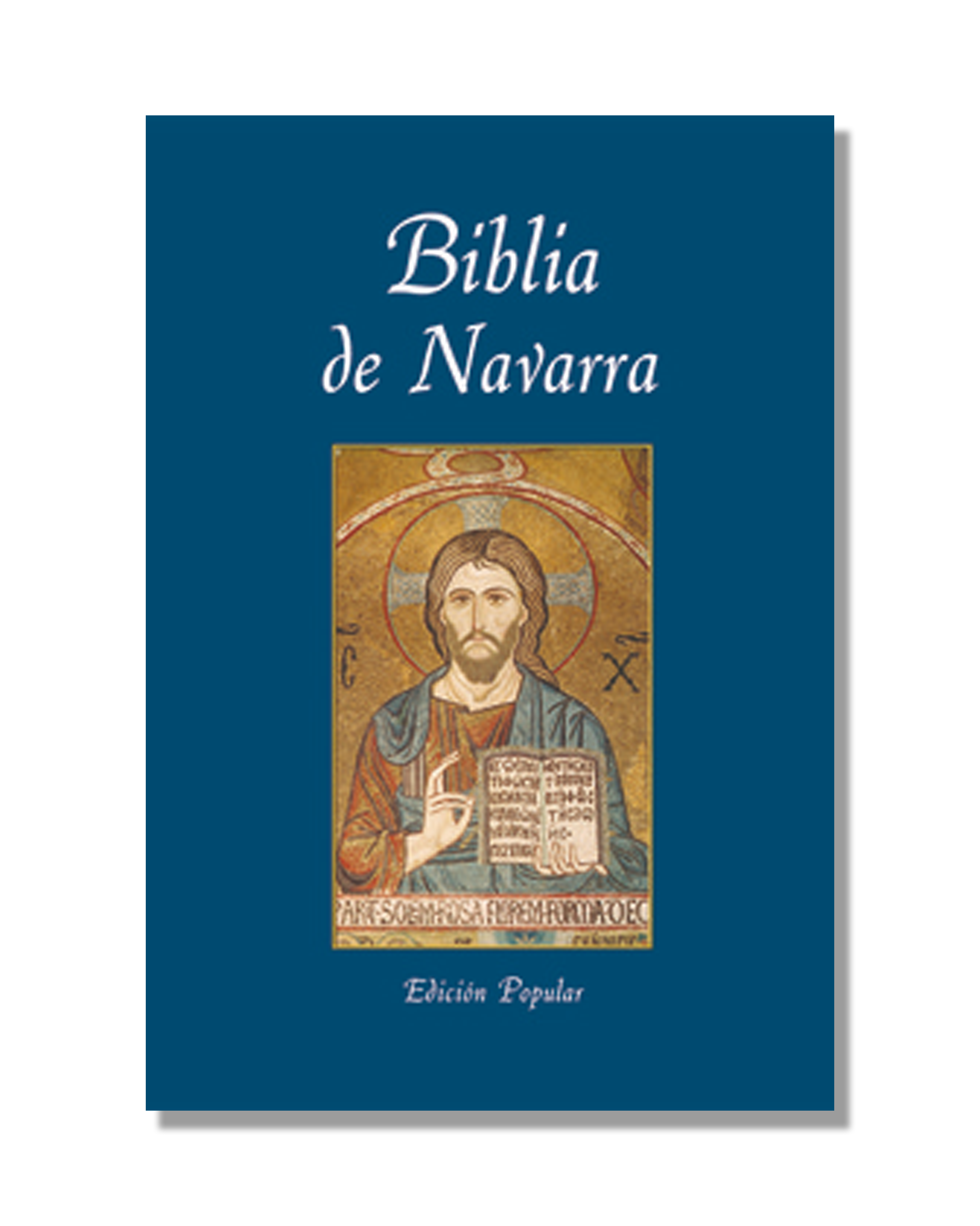 Biblia De Navarra