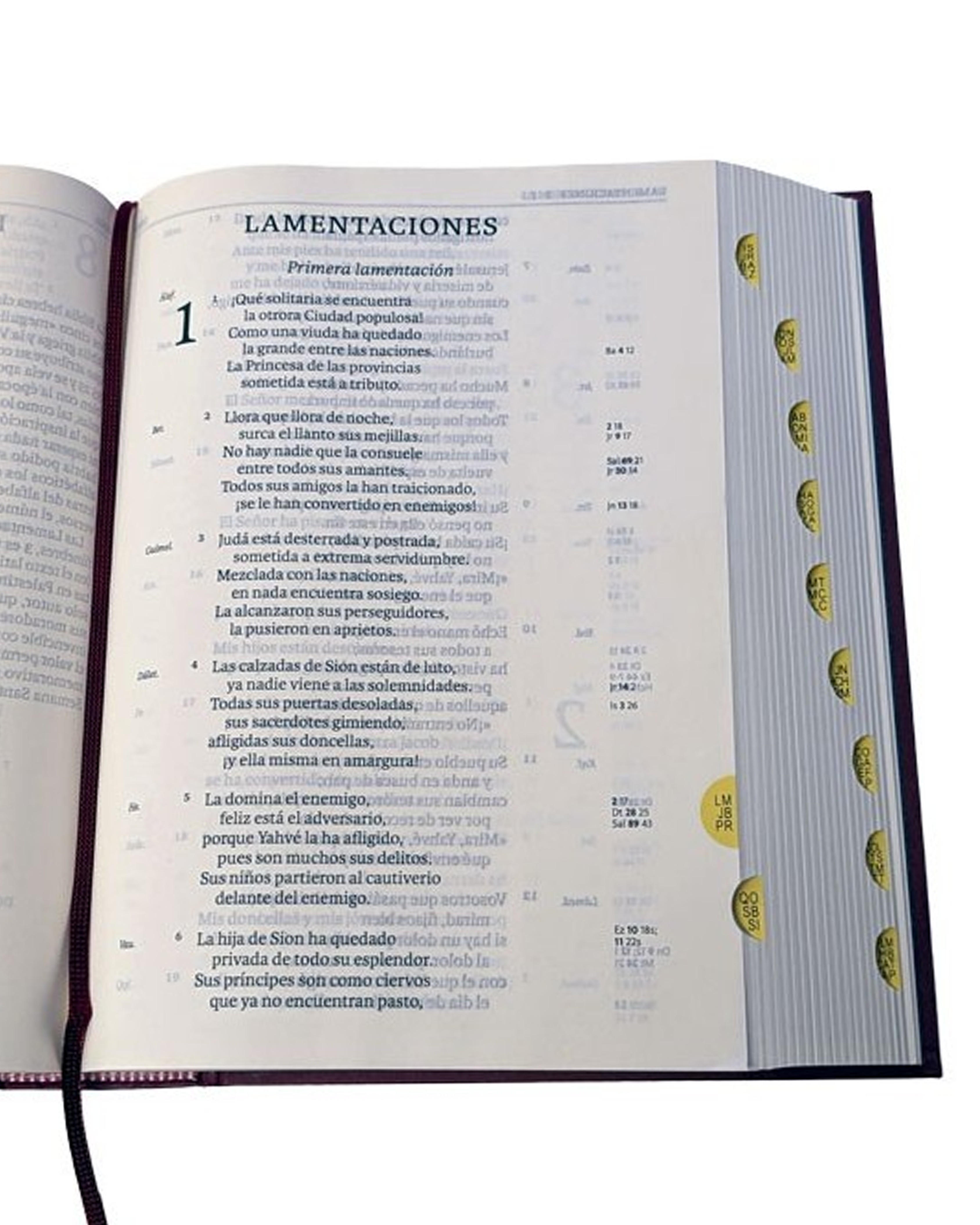 Biblia de Jerusalén En Letra Grande