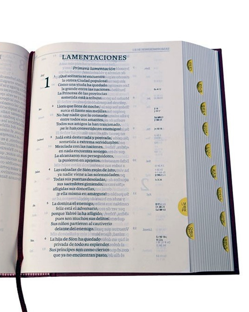 Biblia de Jerusalén En Letra Grande